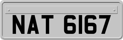 NAT6167