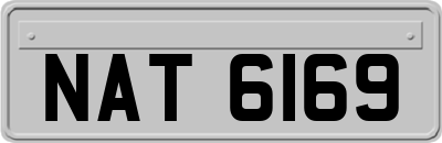 NAT6169