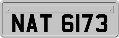 NAT6173