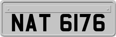 NAT6176