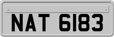 NAT6183