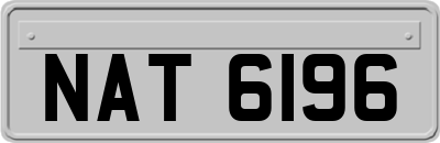 NAT6196