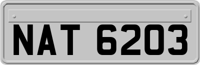 NAT6203