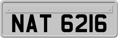 NAT6216