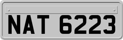 NAT6223