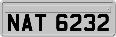 NAT6232