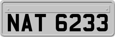 NAT6233