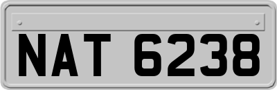 NAT6238