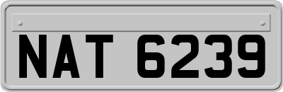 NAT6239