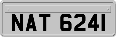 NAT6241