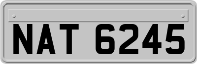 NAT6245