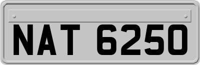 NAT6250