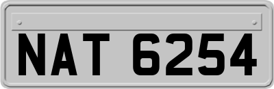 NAT6254