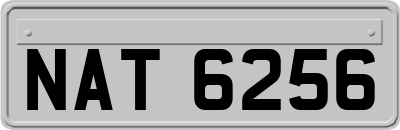 NAT6256