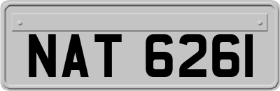 NAT6261