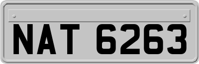 NAT6263