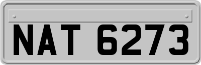 NAT6273