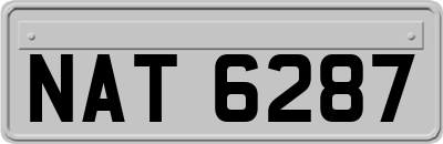 NAT6287