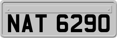 NAT6290