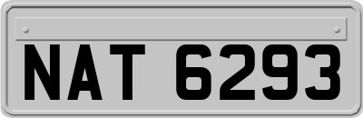 NAT6293