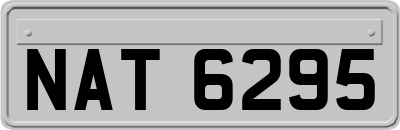 NAT6295