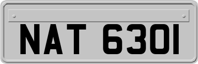 NAT6301