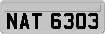 NAT6303