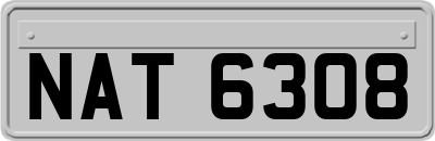 NAT6308