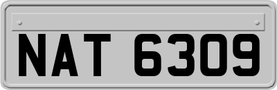 NAT6309