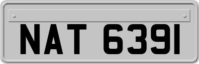 NAT6391