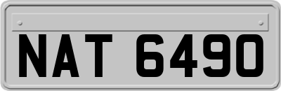 NAT6490