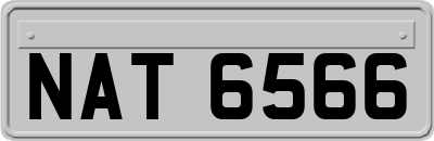 NAT6566