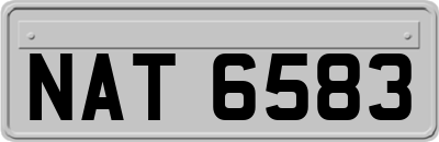 NAT6583