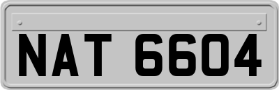 NAT6604