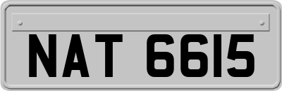 NAT6615