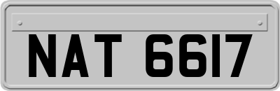 NAT6617