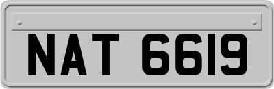 NAT6619