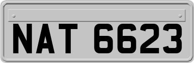 NAT6623