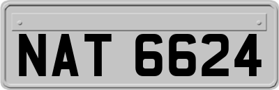 NAT6624