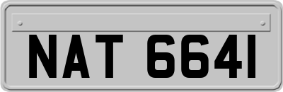 NAT6641