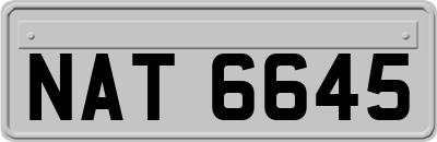 NAT6645