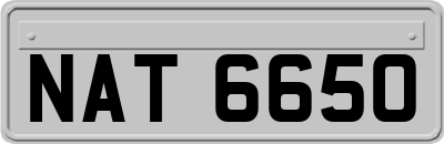 NAT6650