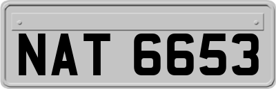 NAT6653