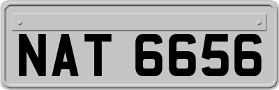 NAT6656