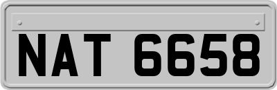 NAT6658