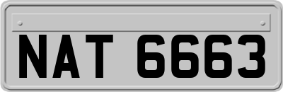 NAT6663