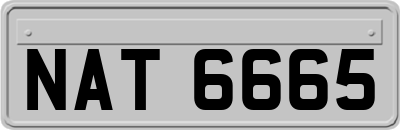 NAT6665