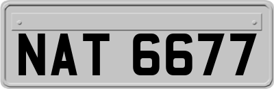 NAT6677