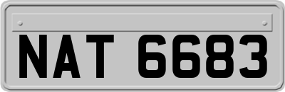 NAT6683