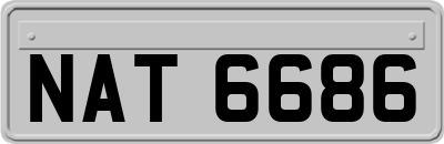 NAT6686